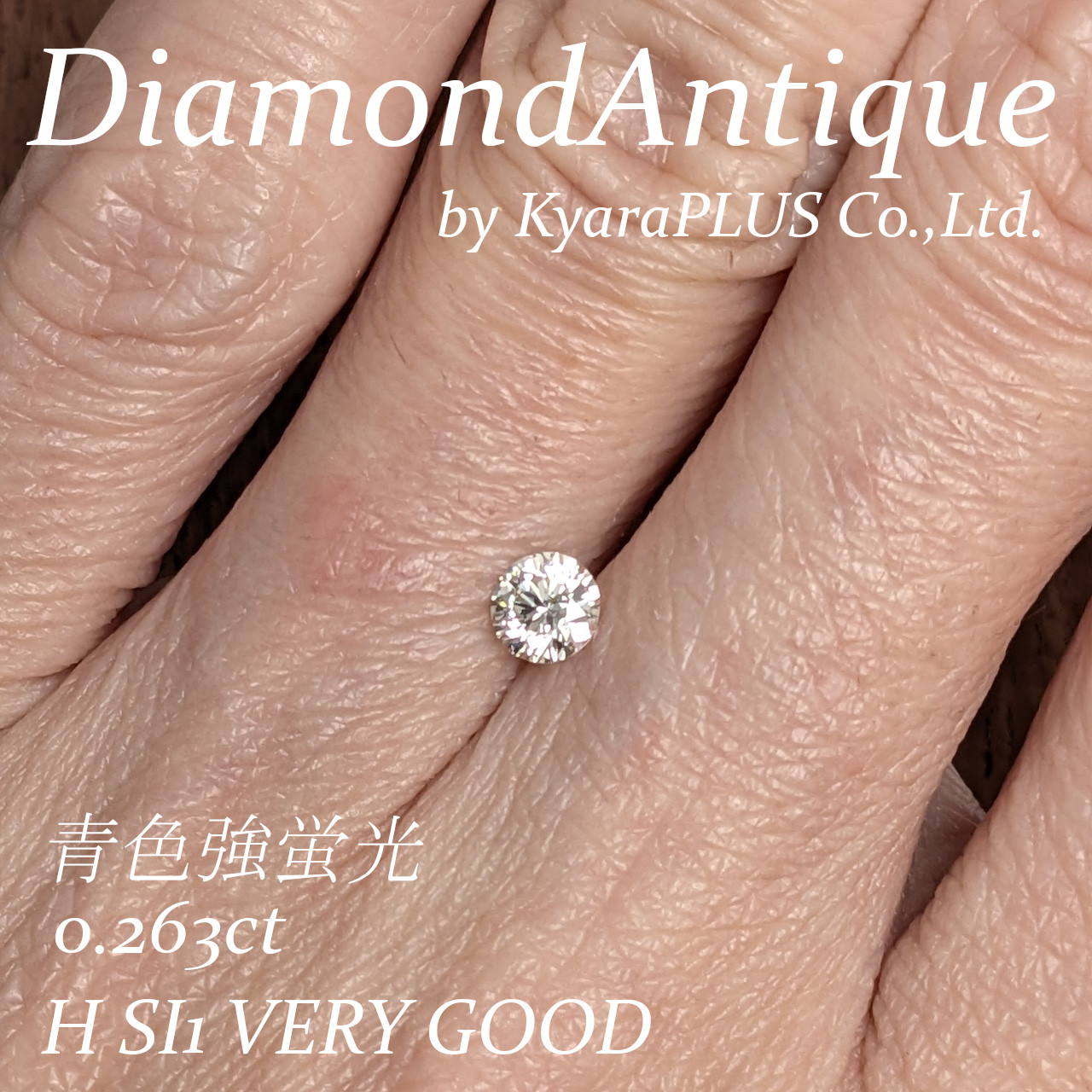 蛍光性が非常に強い個体のため、その個性を楽しめるマニアの方にもぜひおすすめしたい1ピース