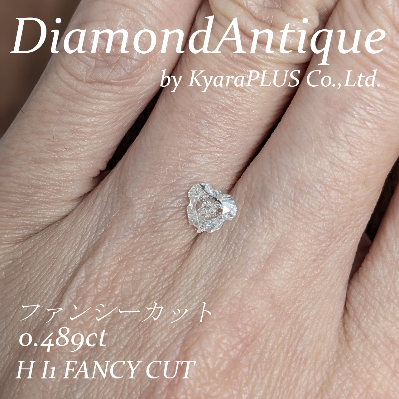 「ロールシャッハ・テスト」を思わせるように、見る人の想像力を掻き立てる、不思議な魅力を秘めた一石