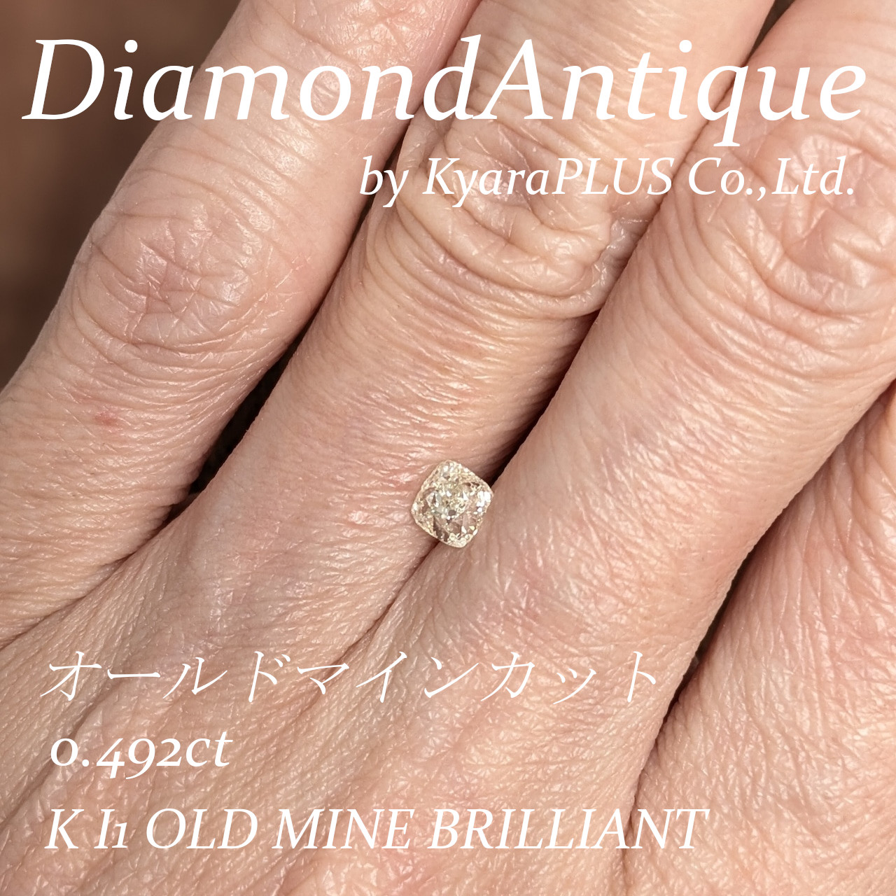 まさにこれぞ「オールドカット」と呼ぶにふさわしい存在