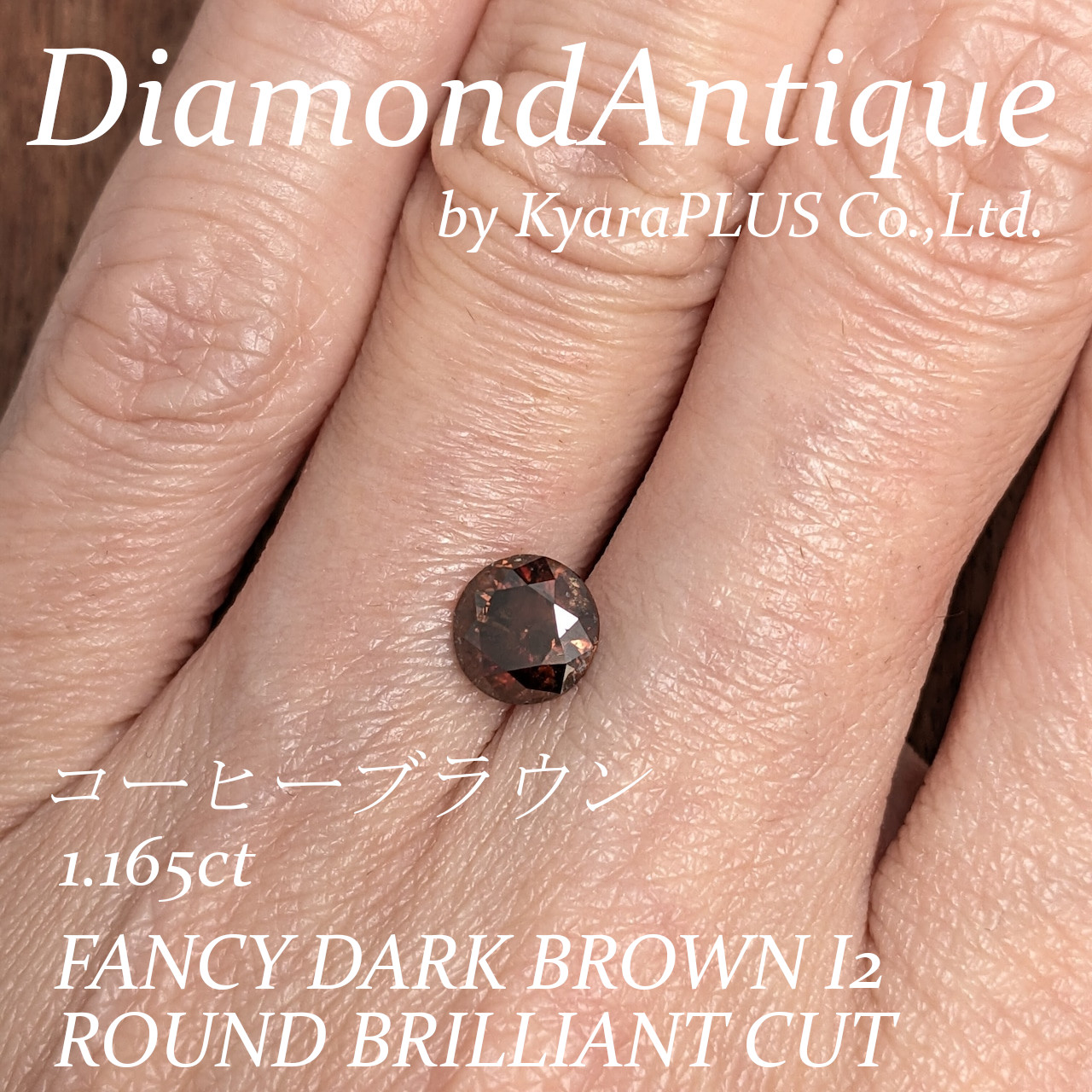 チョコレートの妖精がそっと舞い降りたかのように、深く濃密なブラウン