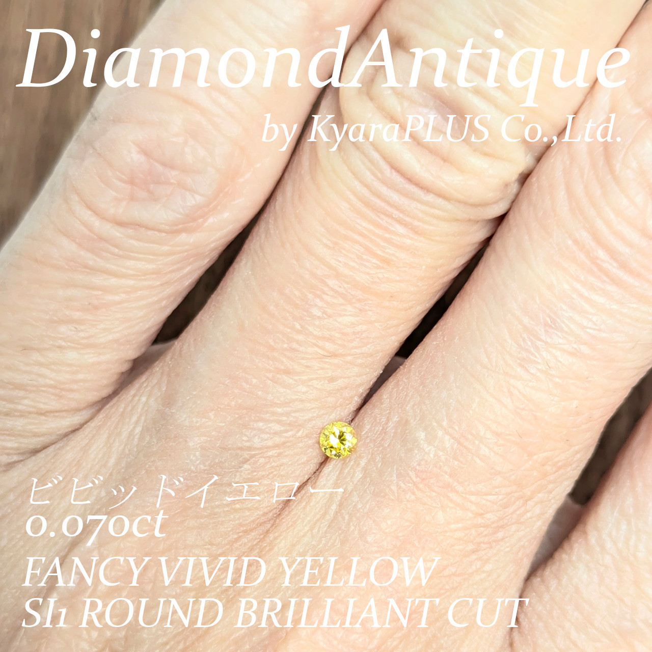 小さな体から放たれるとは思えないほど、力強く主張する輝き