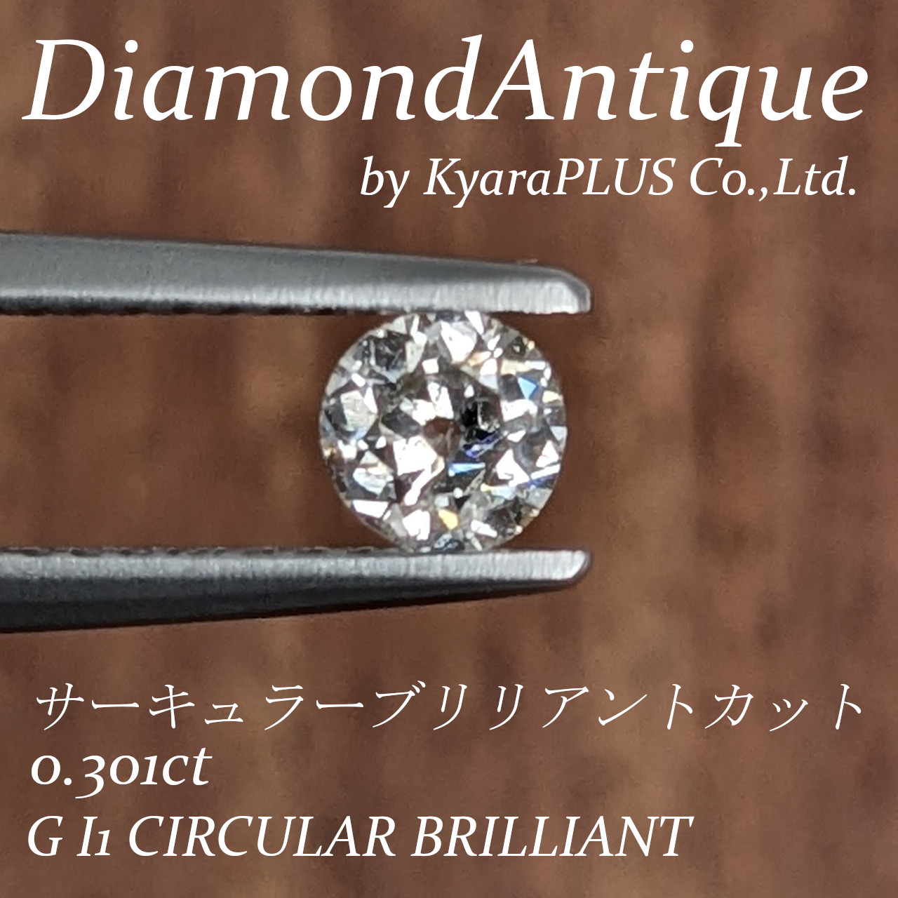 大きな瞳のように開いたキューレットファセットが印象的