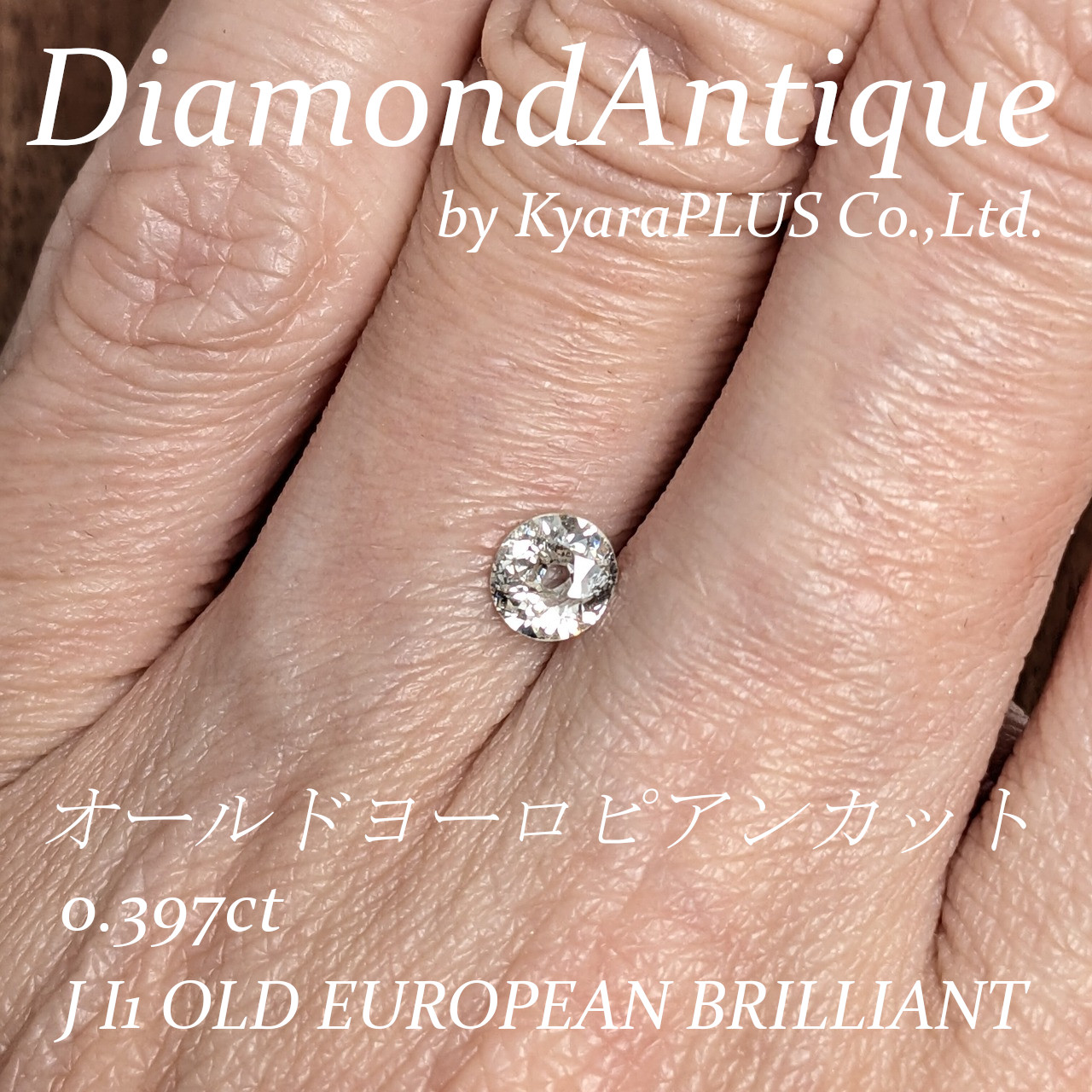 ほんのりと丸みを帯びた“おまんじゅう型”が愛らしいオールドカット