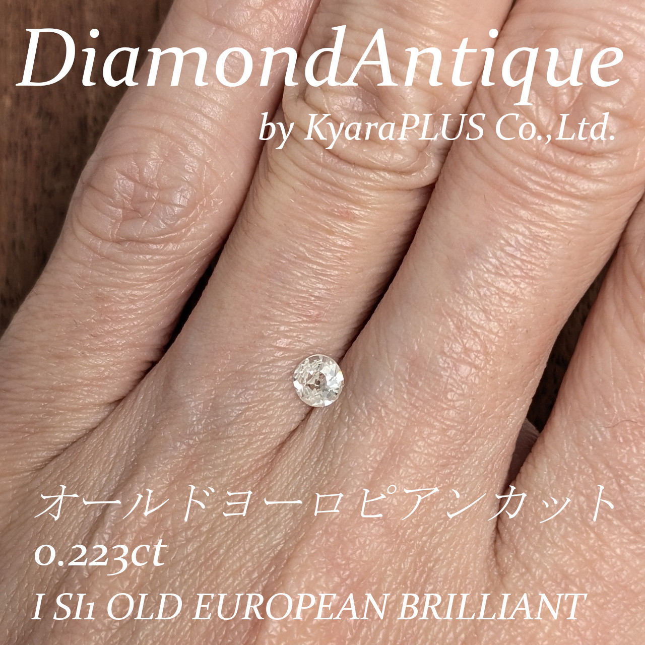 野性味を帯びた、どこか荒々しさを感じさせるオールドカット