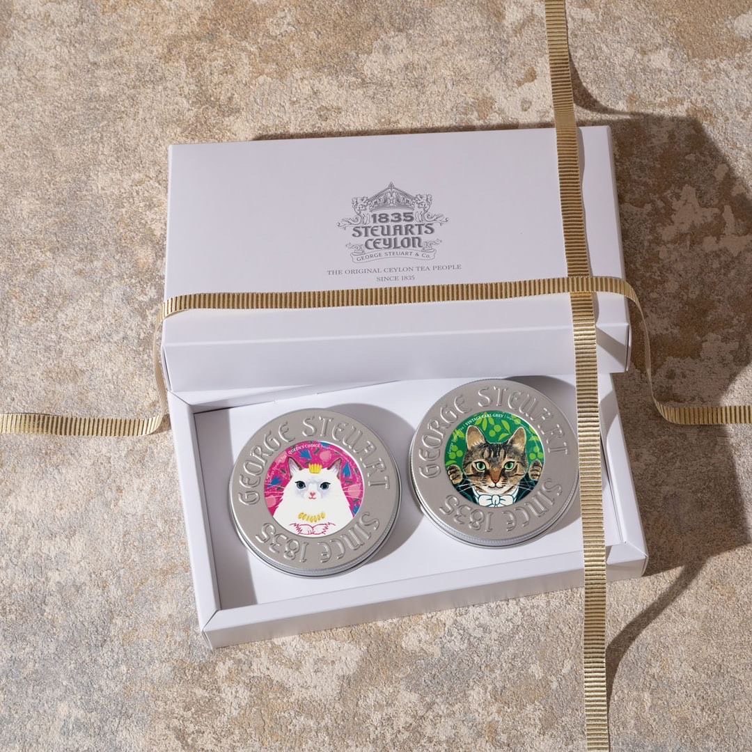 猫デザイン缶紅茶セット販売開始