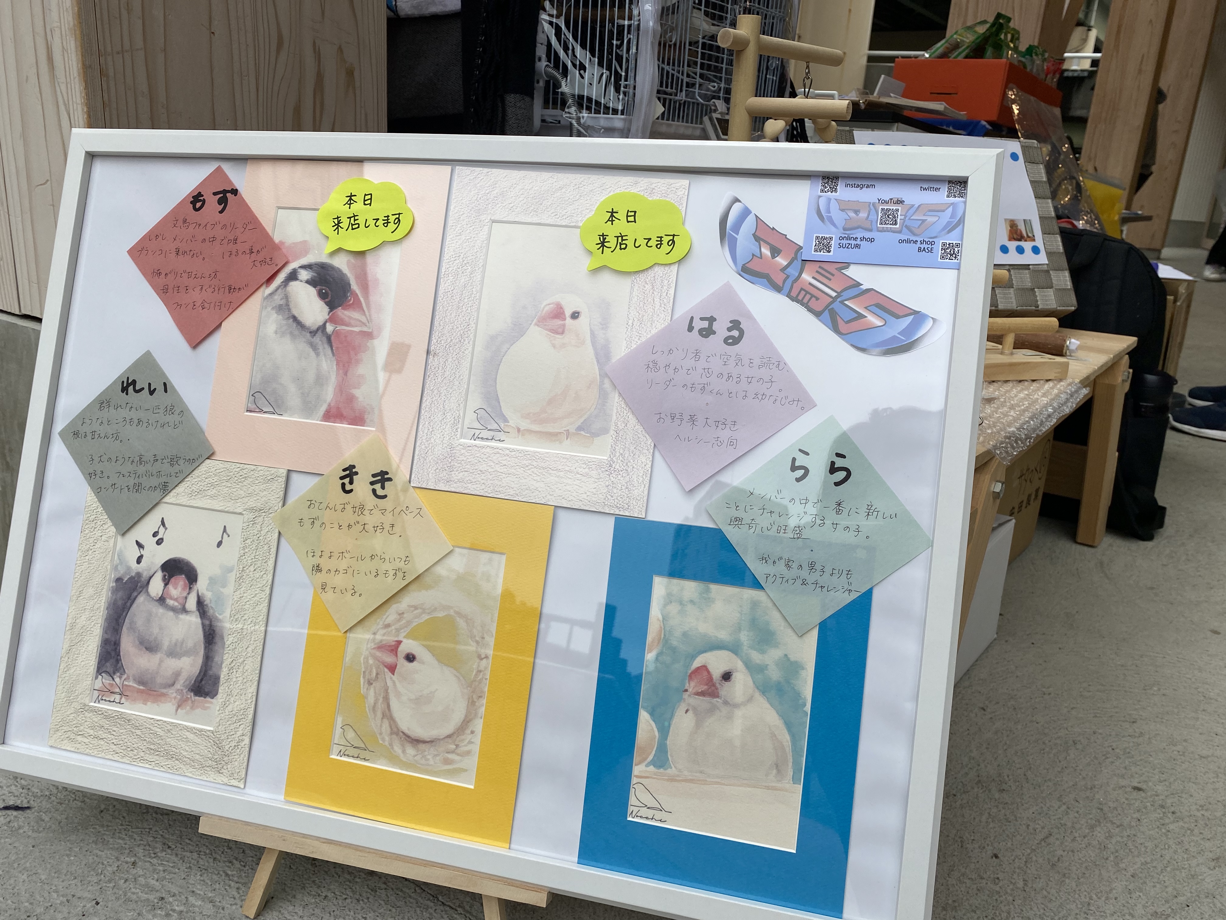 文鳥ファイブ感謝祭無事に終了しました！