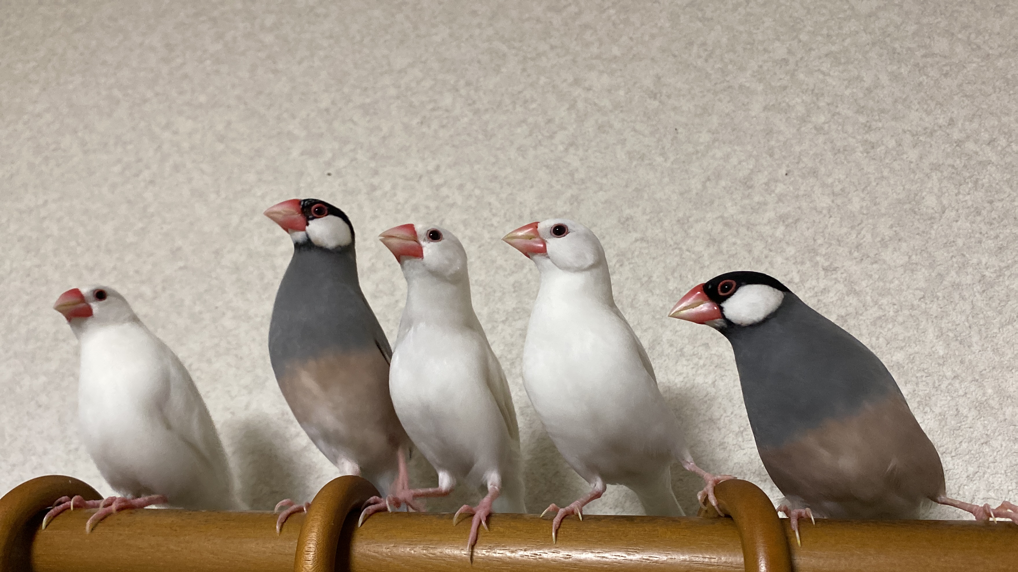 はじめまして！
