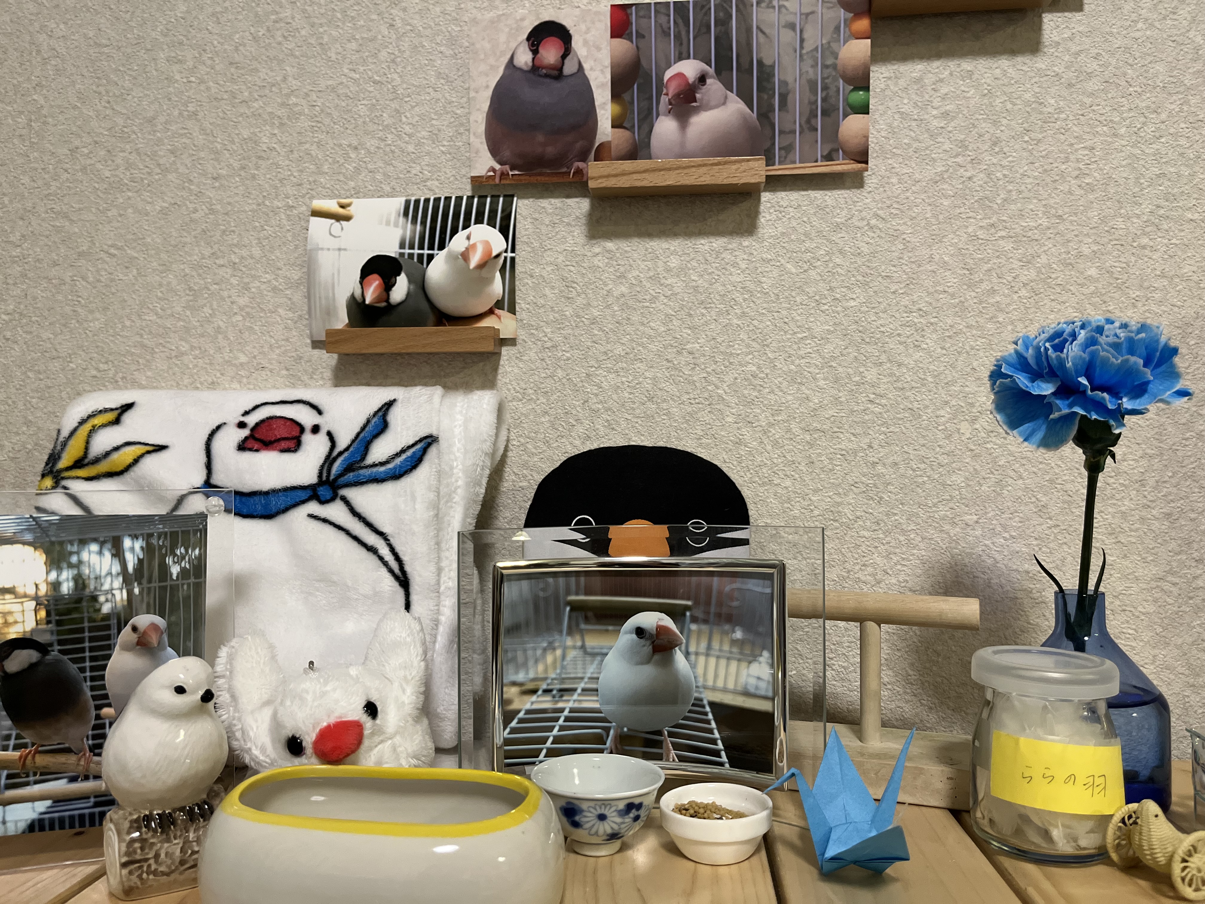 れいくん元気です🐧