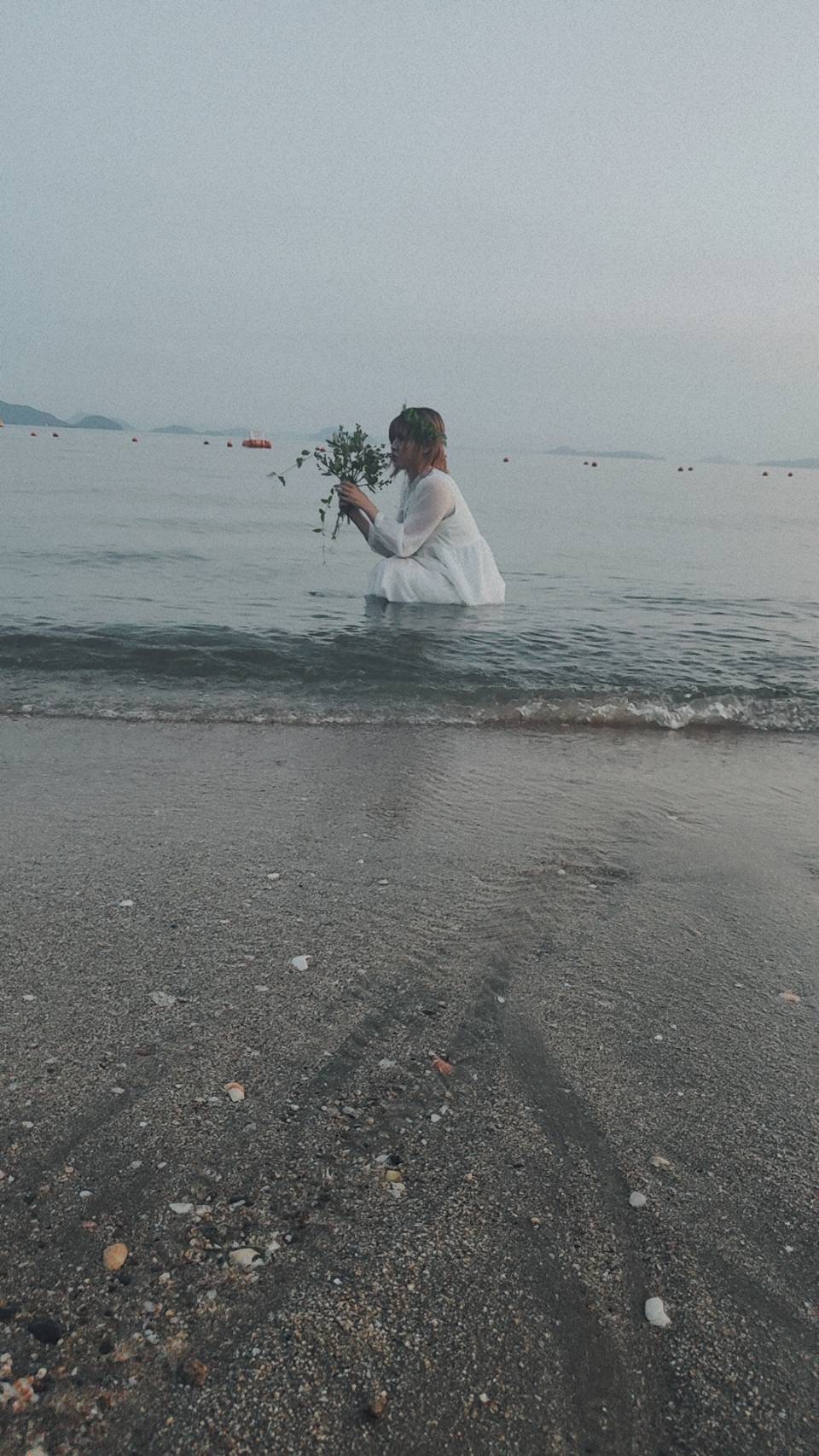海月