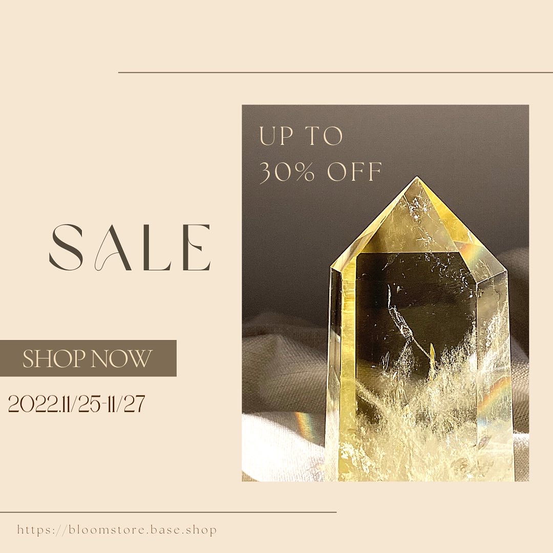 11/25-27 ３DAYS SALE