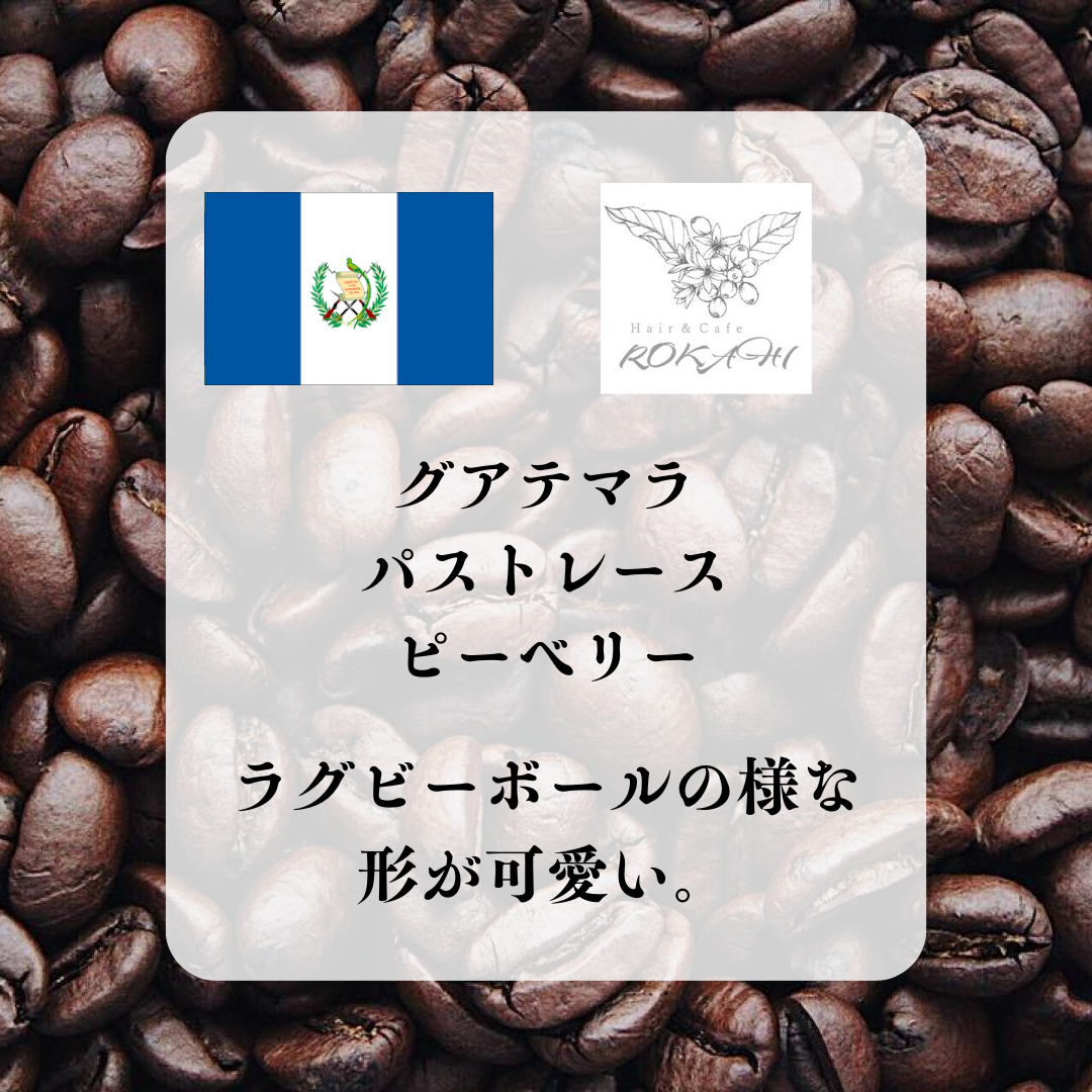 【グアテマラ　パストレース・ピーベリー】