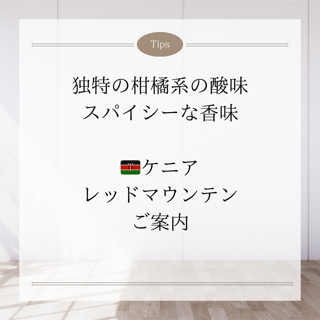 【ケニア　レッドマウンテン】