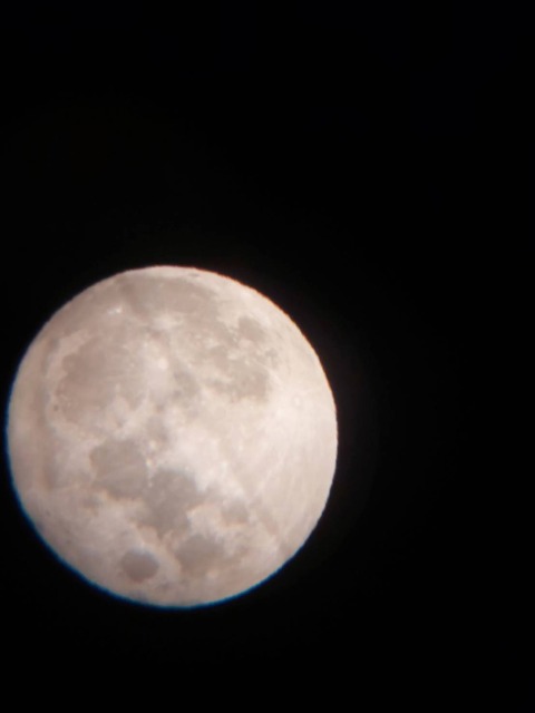 十五夜の夜