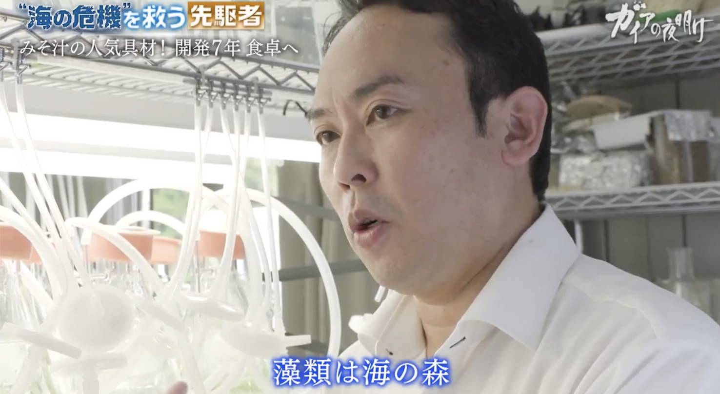山本先生が地上波「ガイアの夜明け」に登場