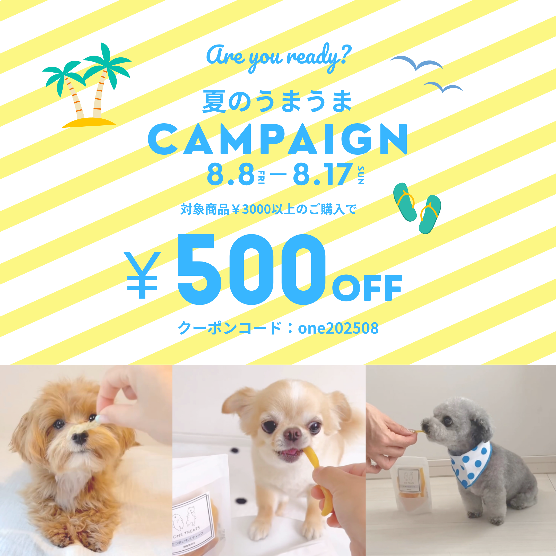 夏のうまうまキャンペーン開催♪