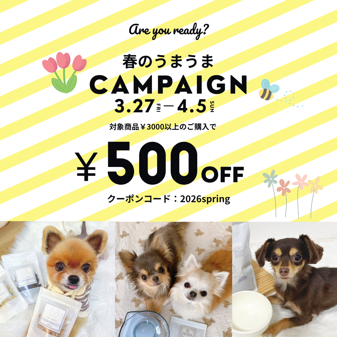 春のうまうまキャンペーン開催♪