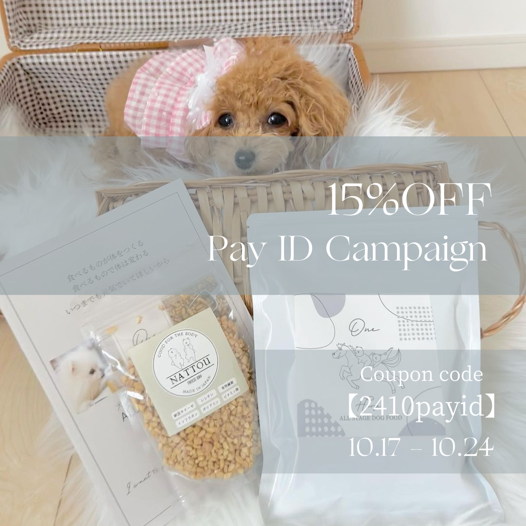 15％OFFクーポン配布中［10/17～10/24］