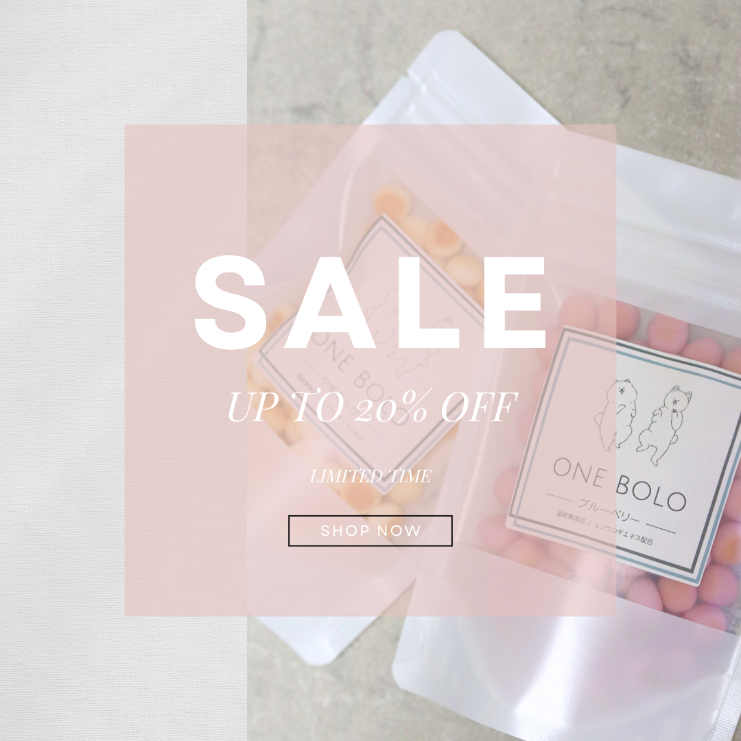 ボーロ限定20％OFF！SALE開催♪