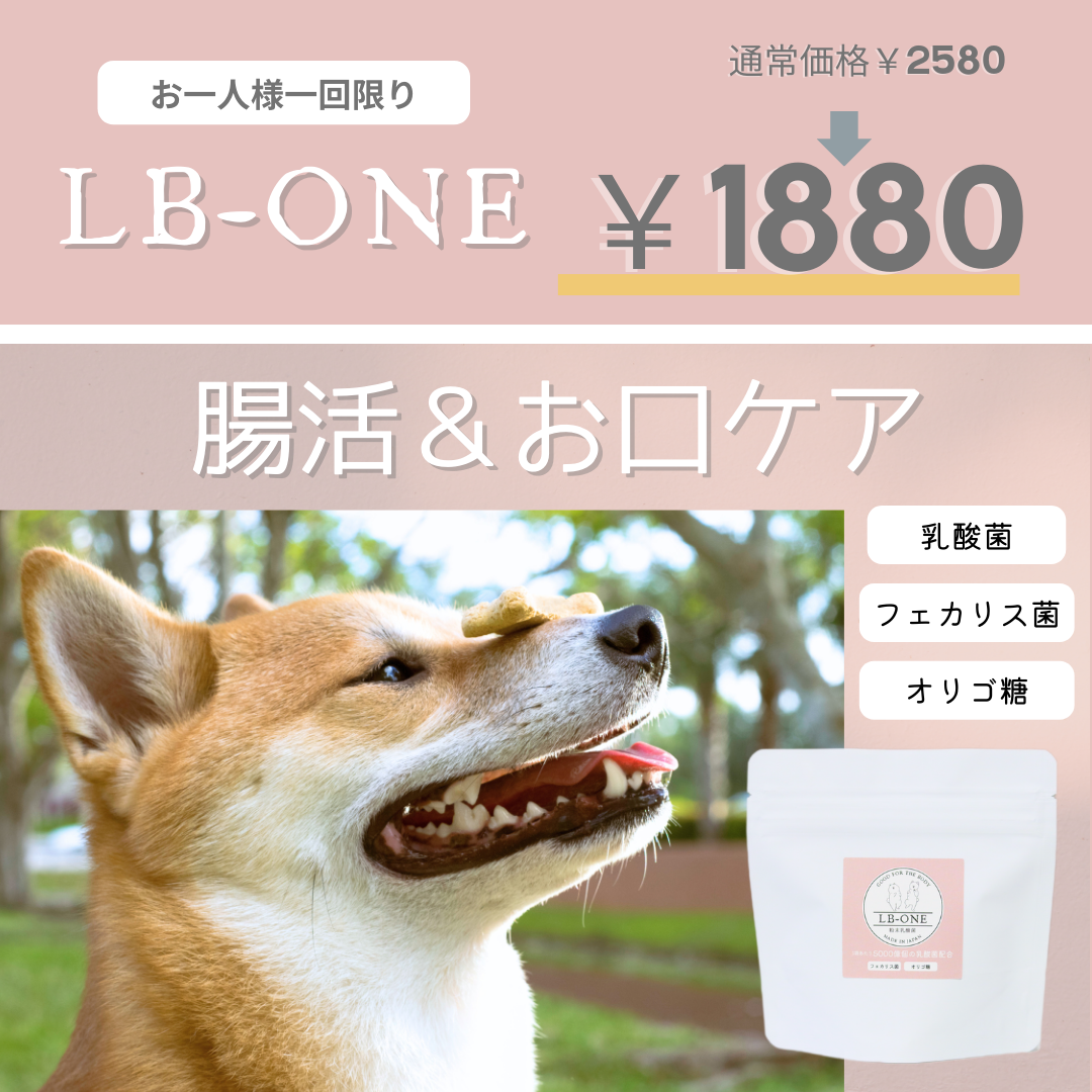 LB-ONE お一人様一回限り￥1880クーポン配布中！