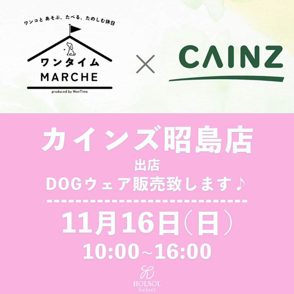 11月16日(日)カインズ昭島ワンタイムマルシェ出店★