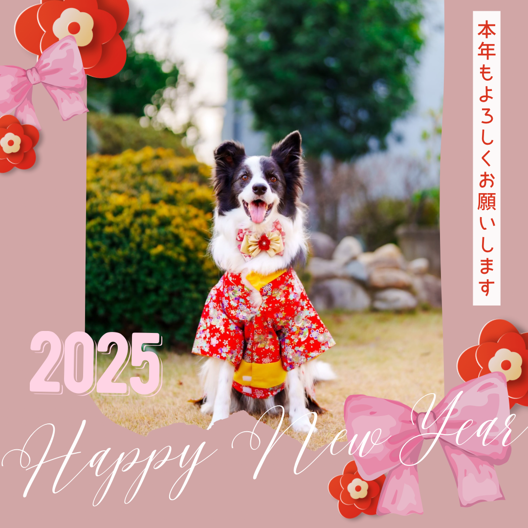 Happy new year !!