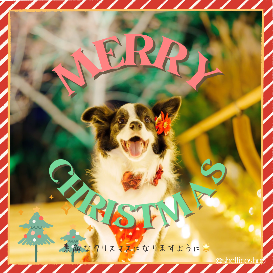 ★⭐︎ Merry christmas ⭐︎★