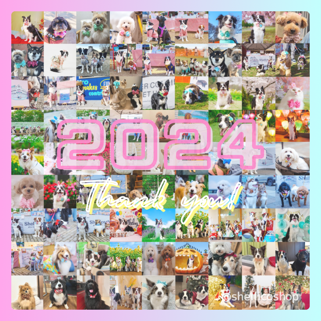 2024 thank you !!