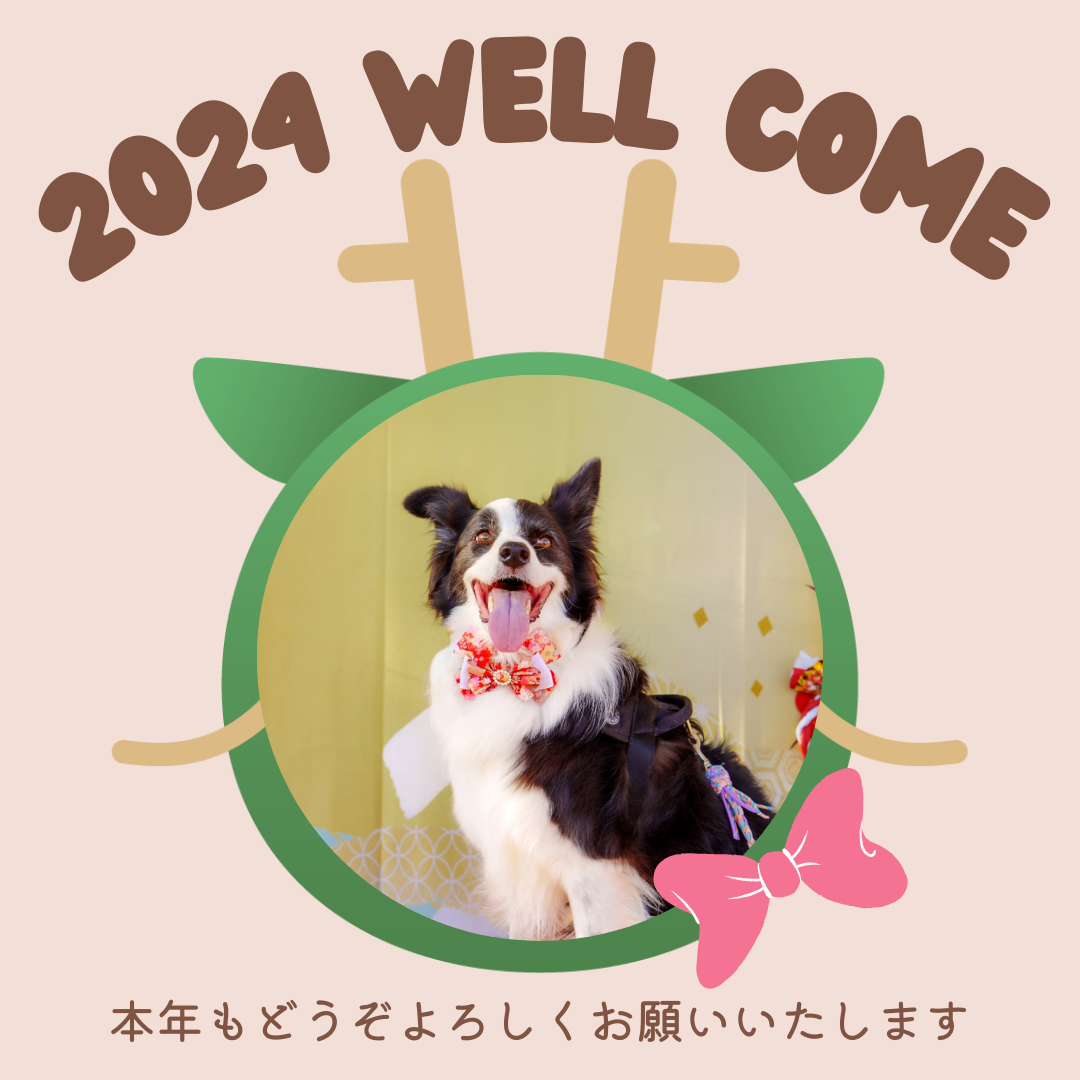 【2024】本年も宜しくお願いいたします！