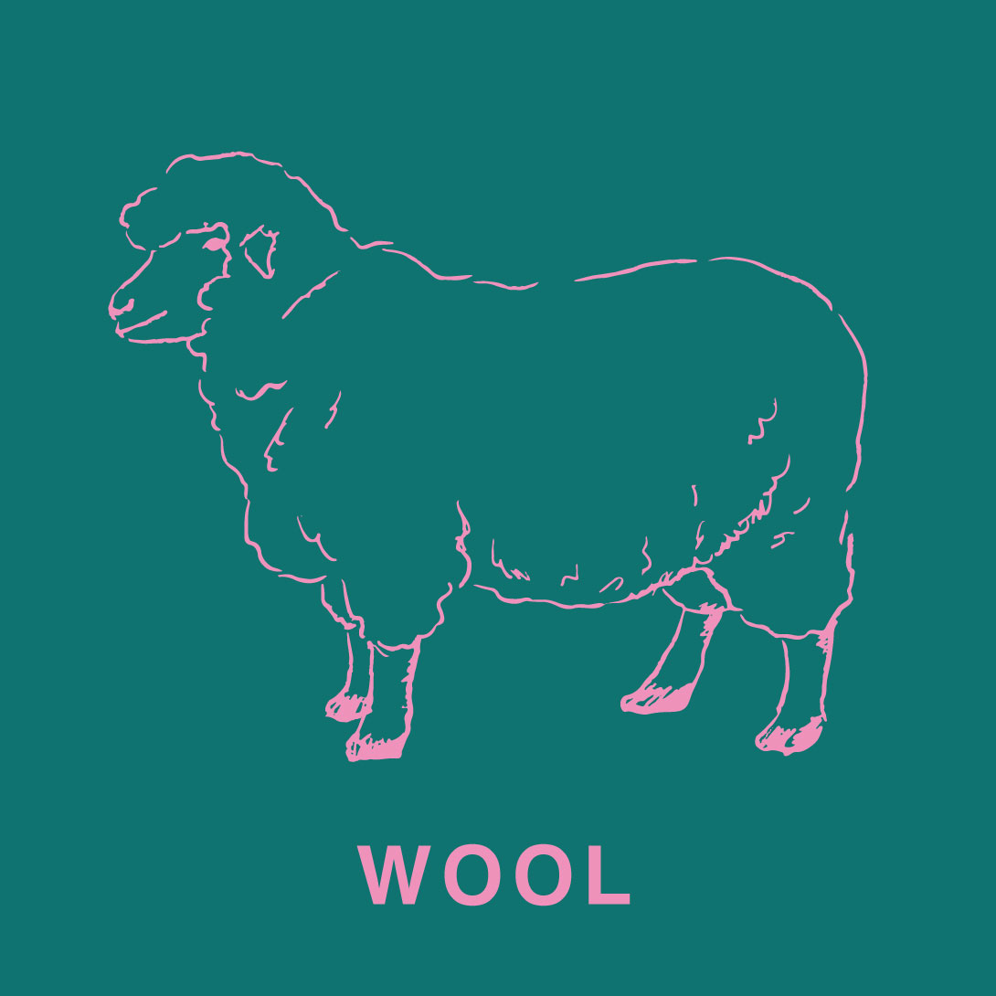 くつ下のおはなし1：羊毛（ウール）