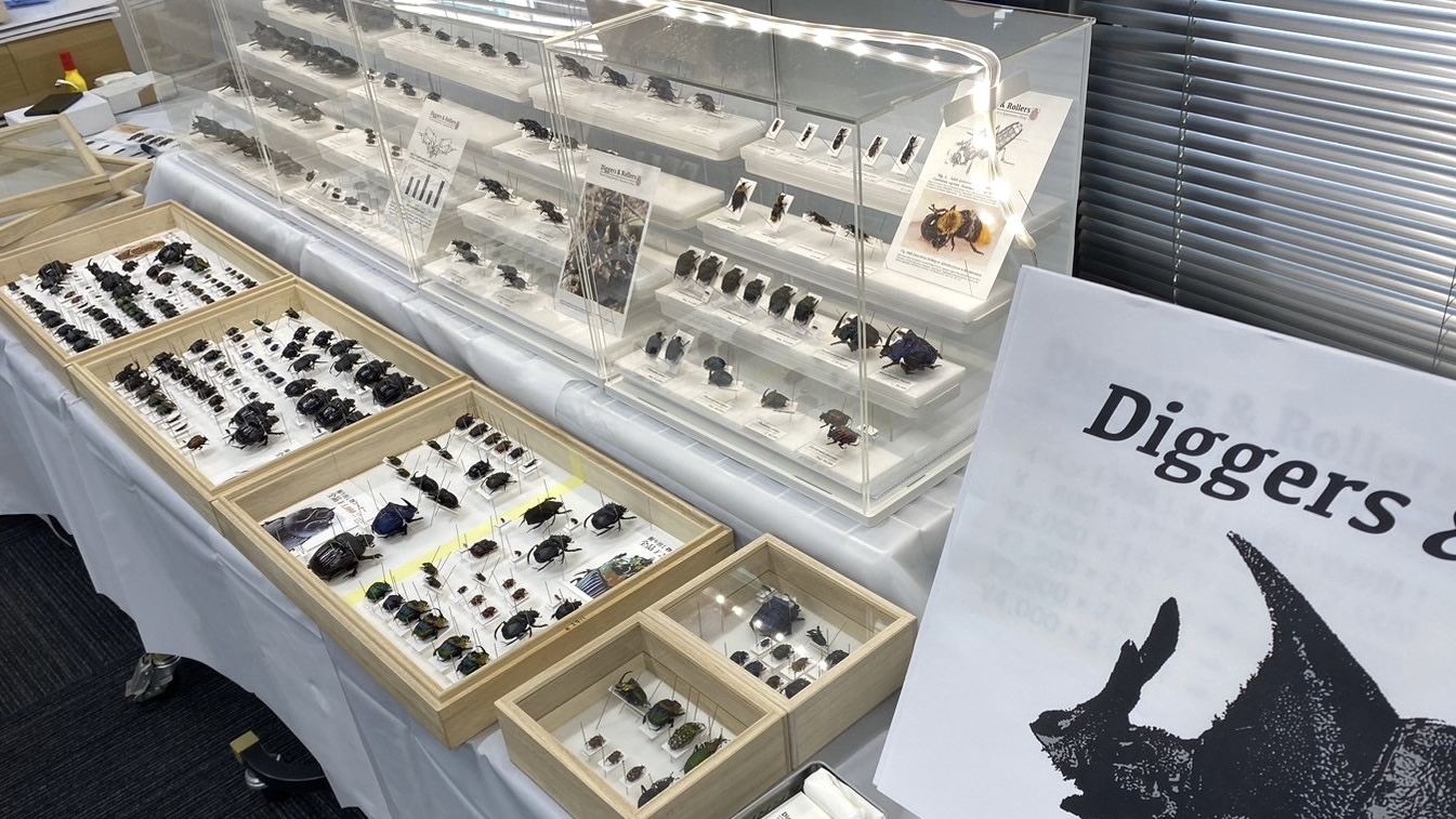【出店情報:2024/8/3】INSECTPORT TOKYO|インセクトポート東京2024