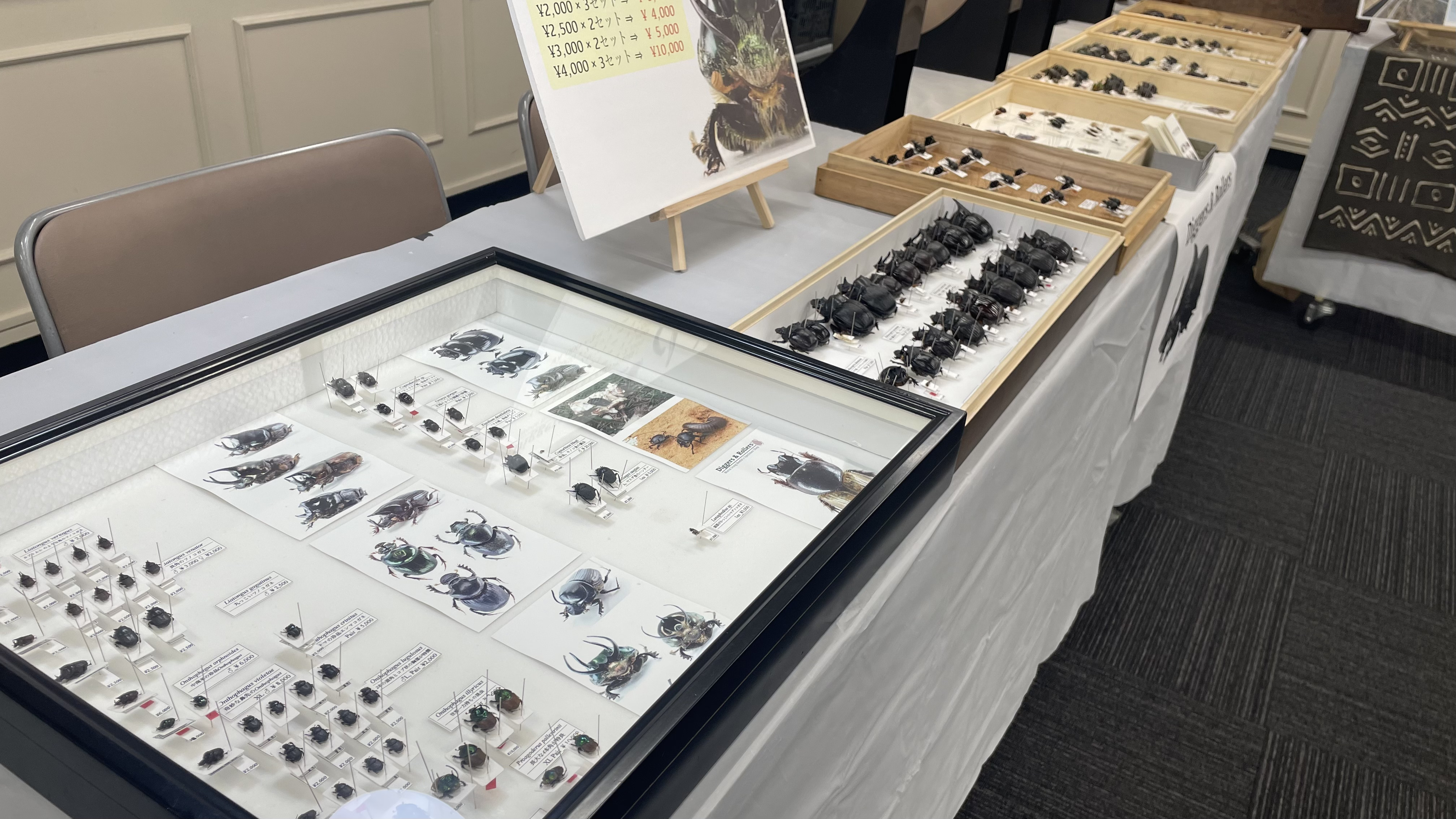 【出店情報:2025/7/20】INSECTPORT TOKYO|インセクトポート東京2025