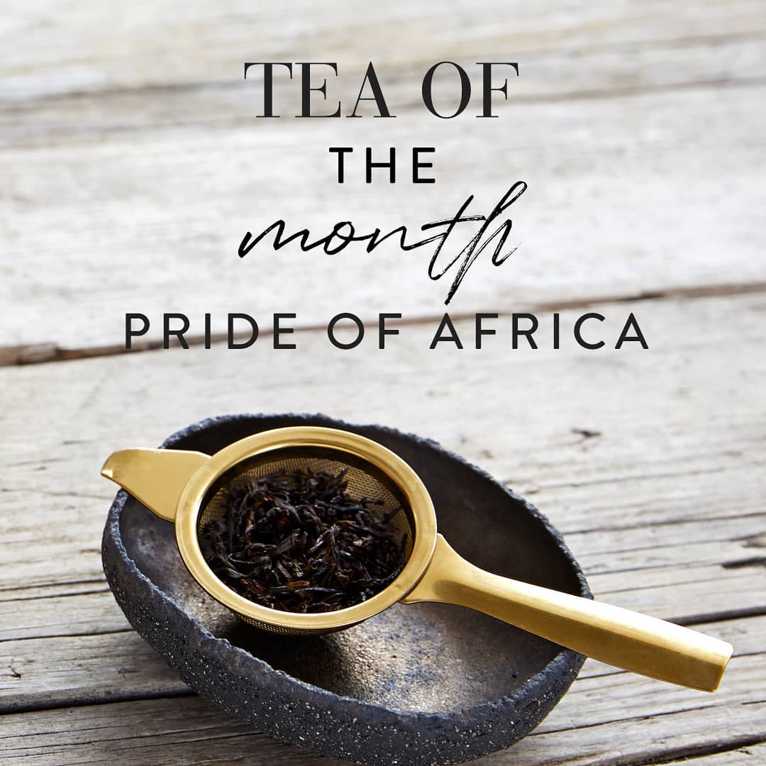 【コラム】Tea of the Month:Pride of Arficaをアップ