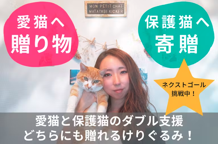 クラウドファンディングの寄贈による在庫状況について