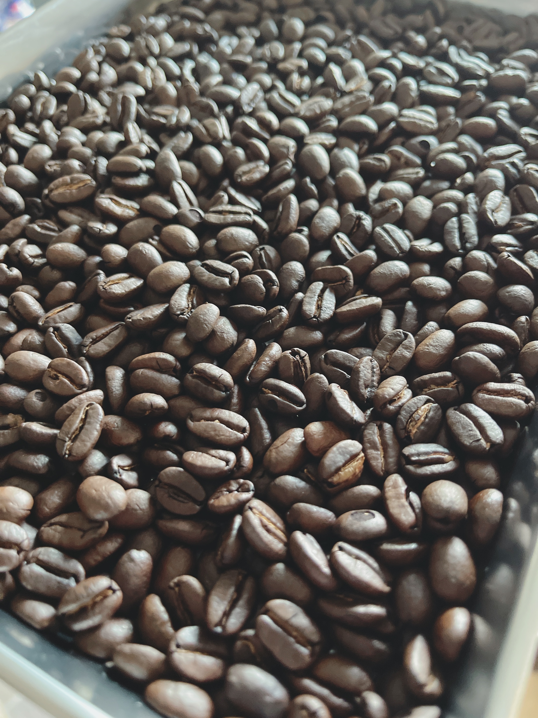 自家焙煎珈琲 caffines 初ブログ
