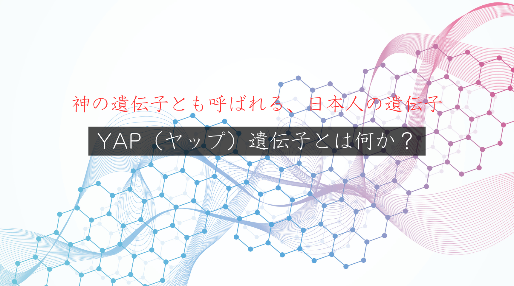 【すべての日本人必見】YAP（ヤップ）遺伝子とは何か？神の遺伝子とも呼ばれる、日本人の遺伝子を徹底解