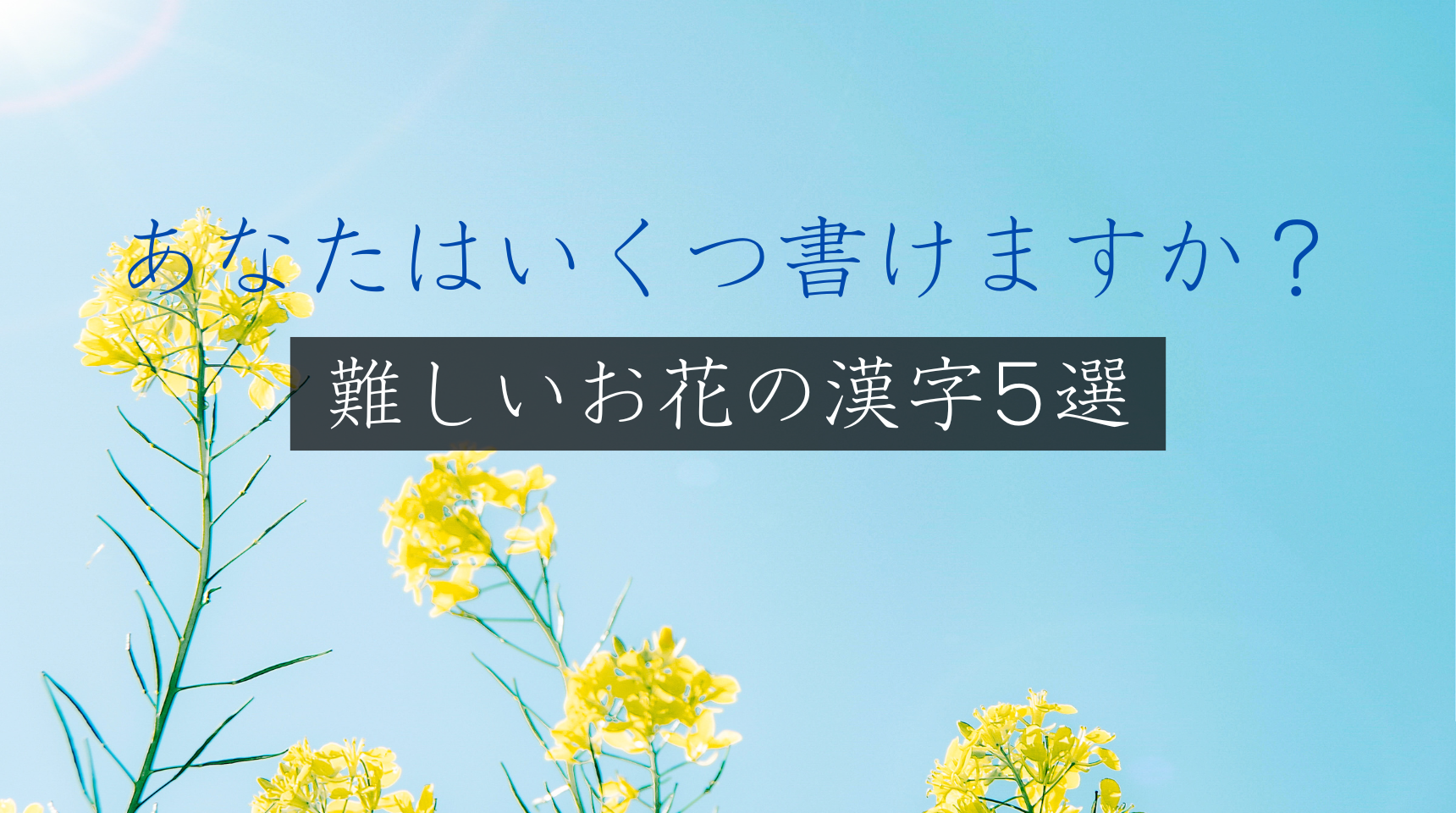 【保存版】難しいお花の漢字5選！あなたはいくつ書けますか？