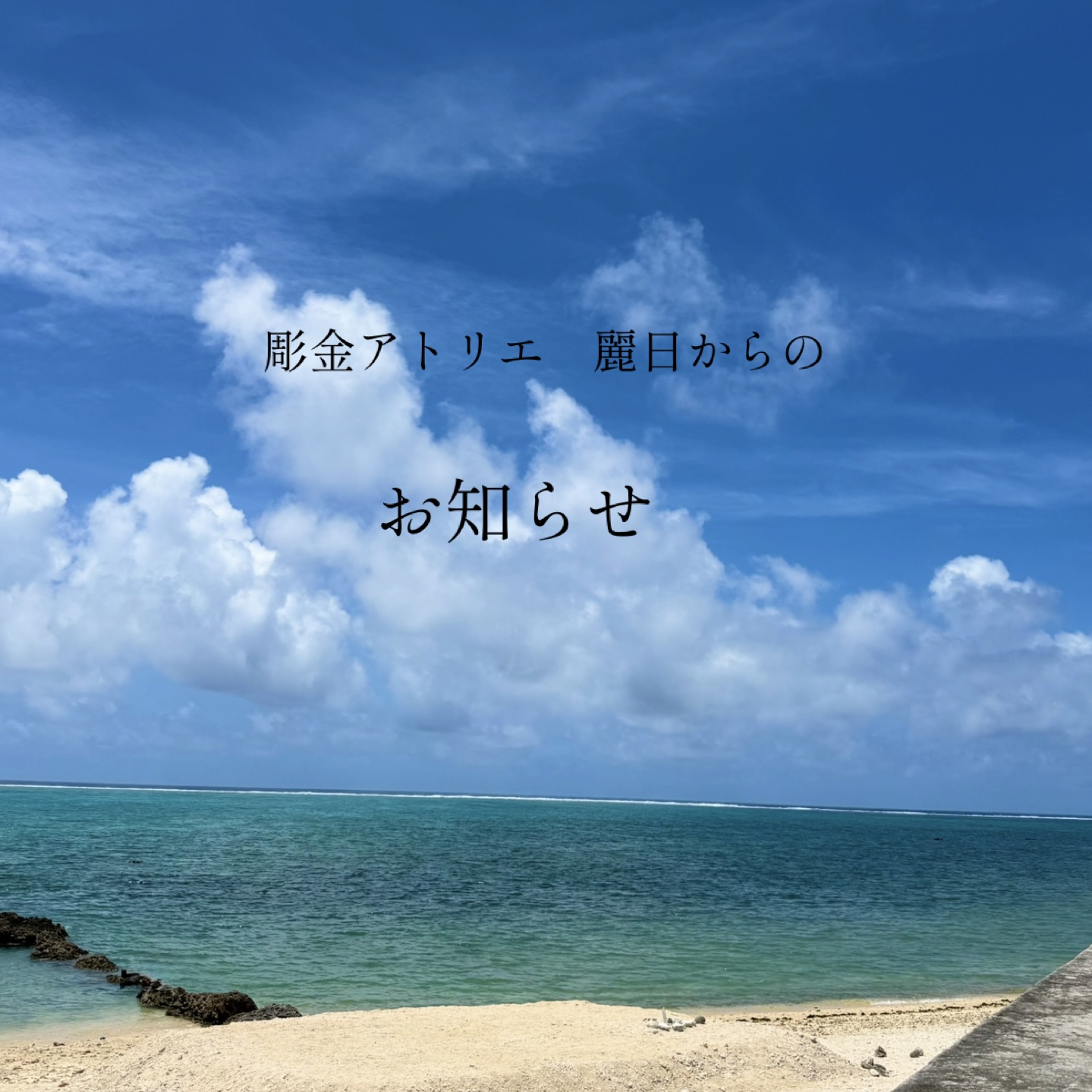 夏の感謝クーポン