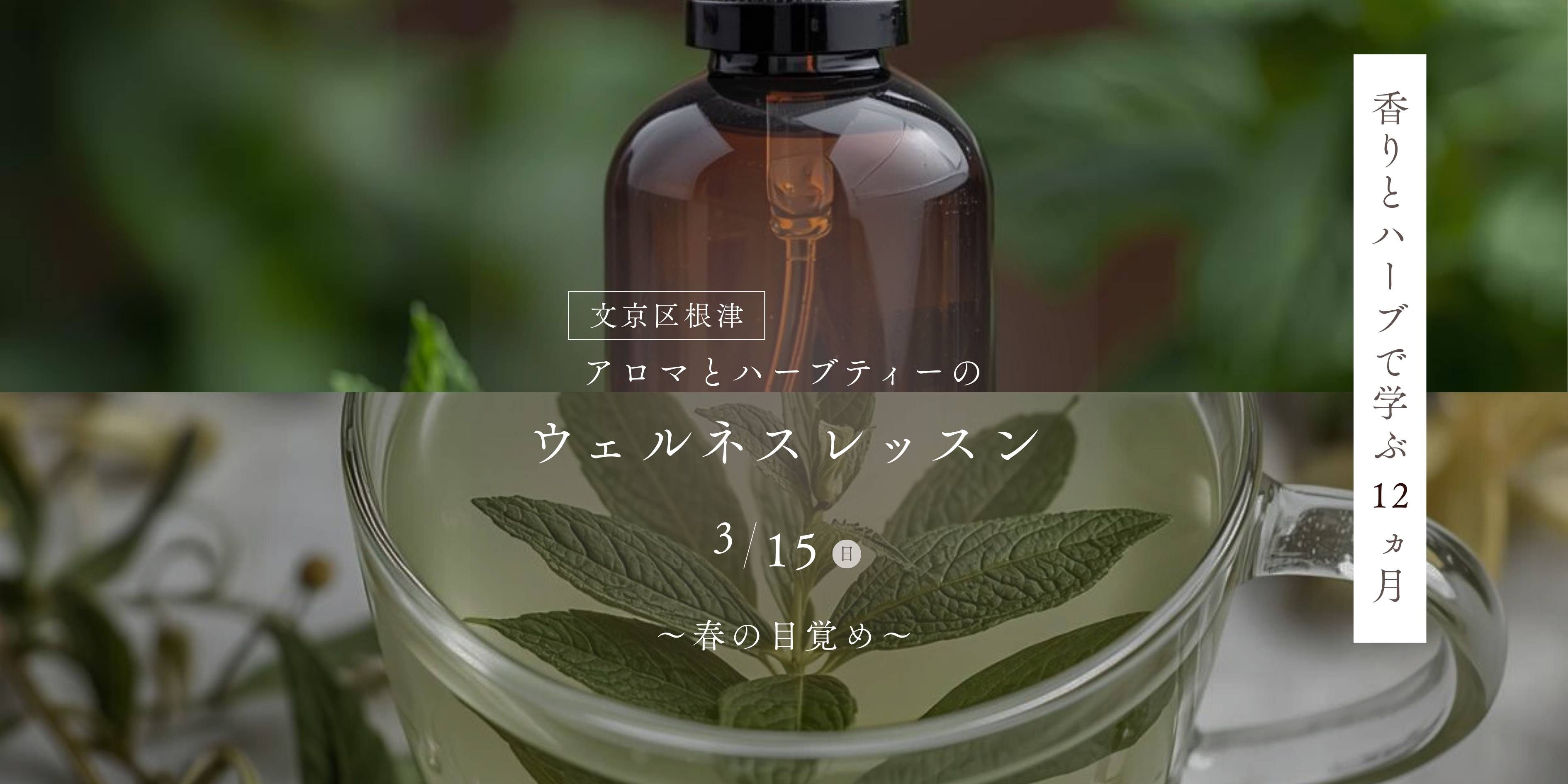 【3/15開催】春の目覚めアロマレッスン プレレッスンのご案内