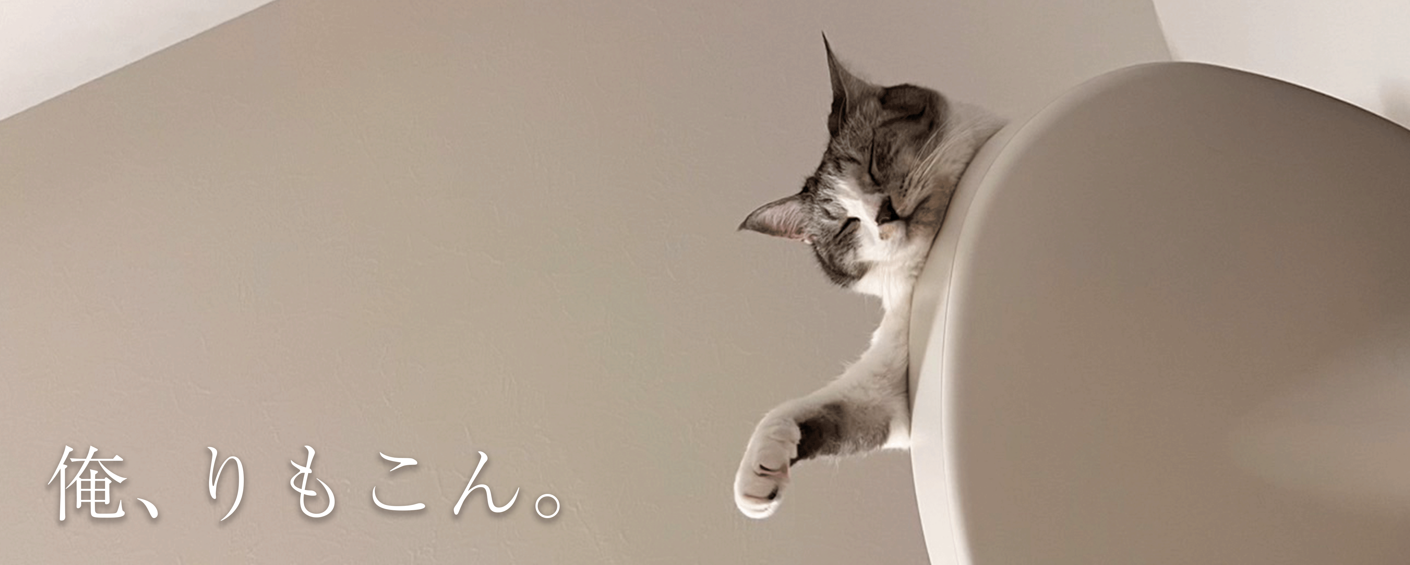 【ねこと暮らす。】俺、りもこん #2