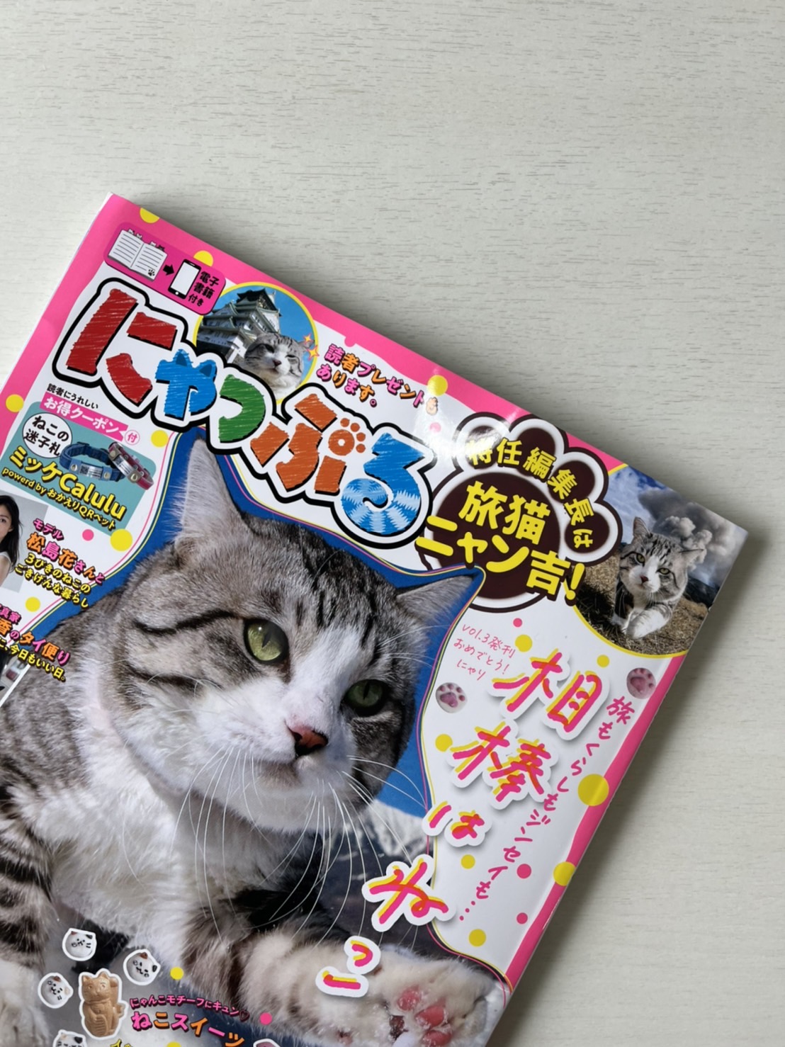 雑誌「にゃっぷる」に掲載のお知らせ