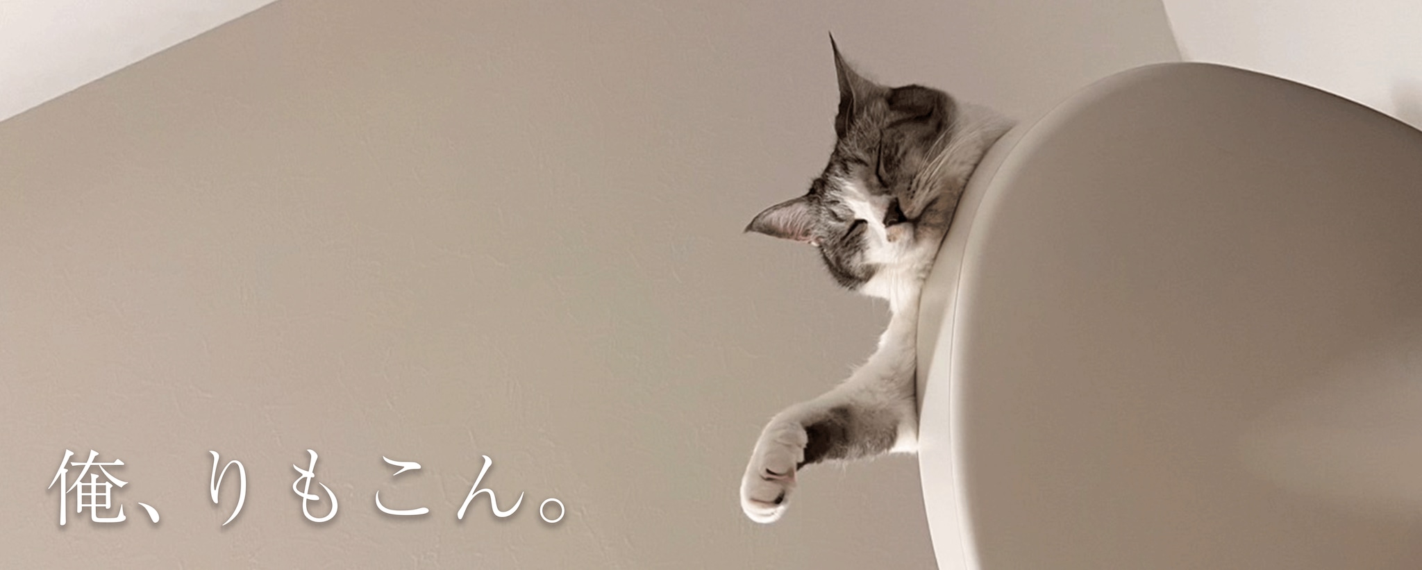 【ねこと暮らす。】俺、りもこん #4