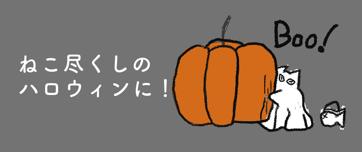 ハロウィンセット販売開始いたしました!