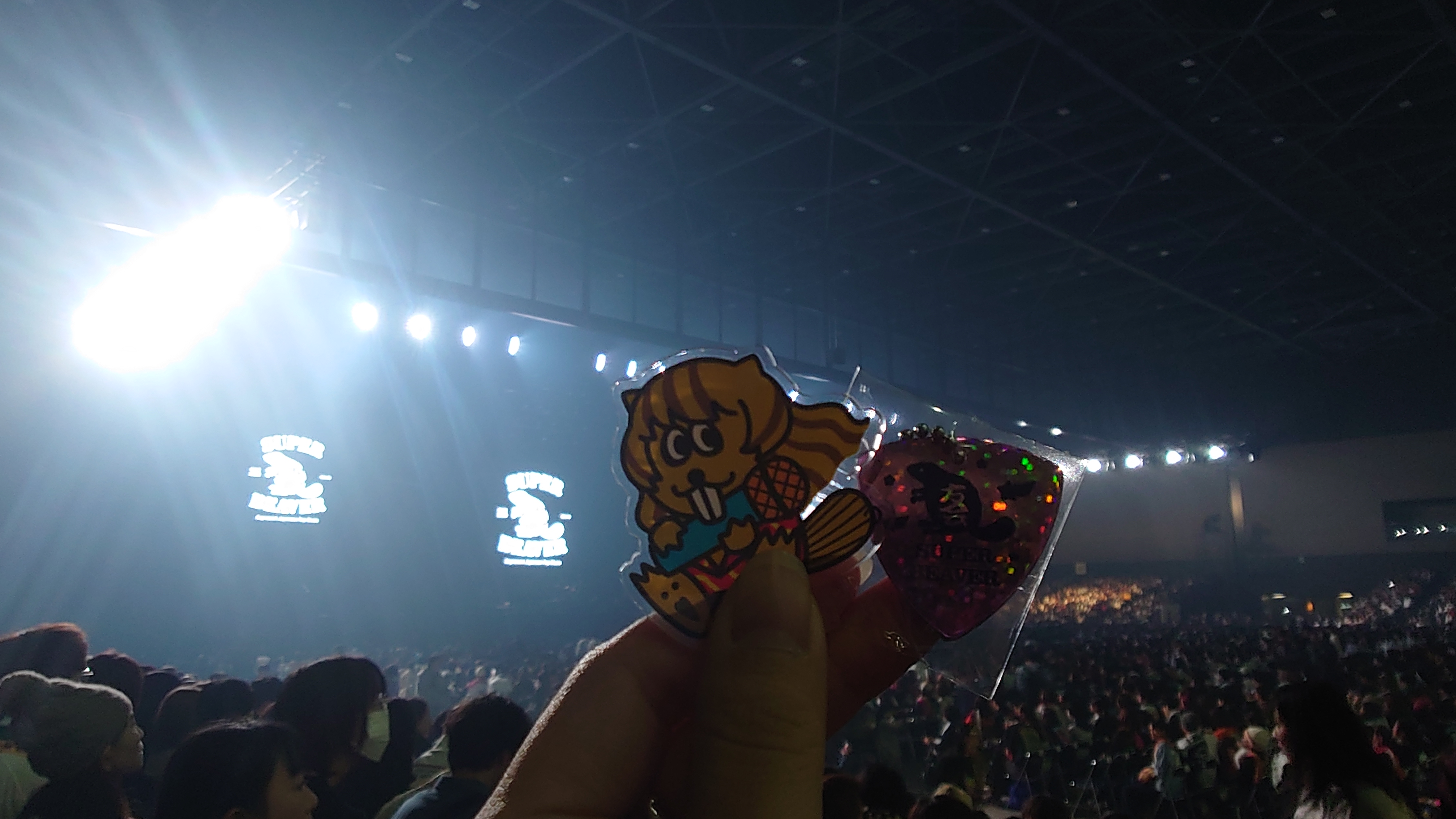 出展予定と準備