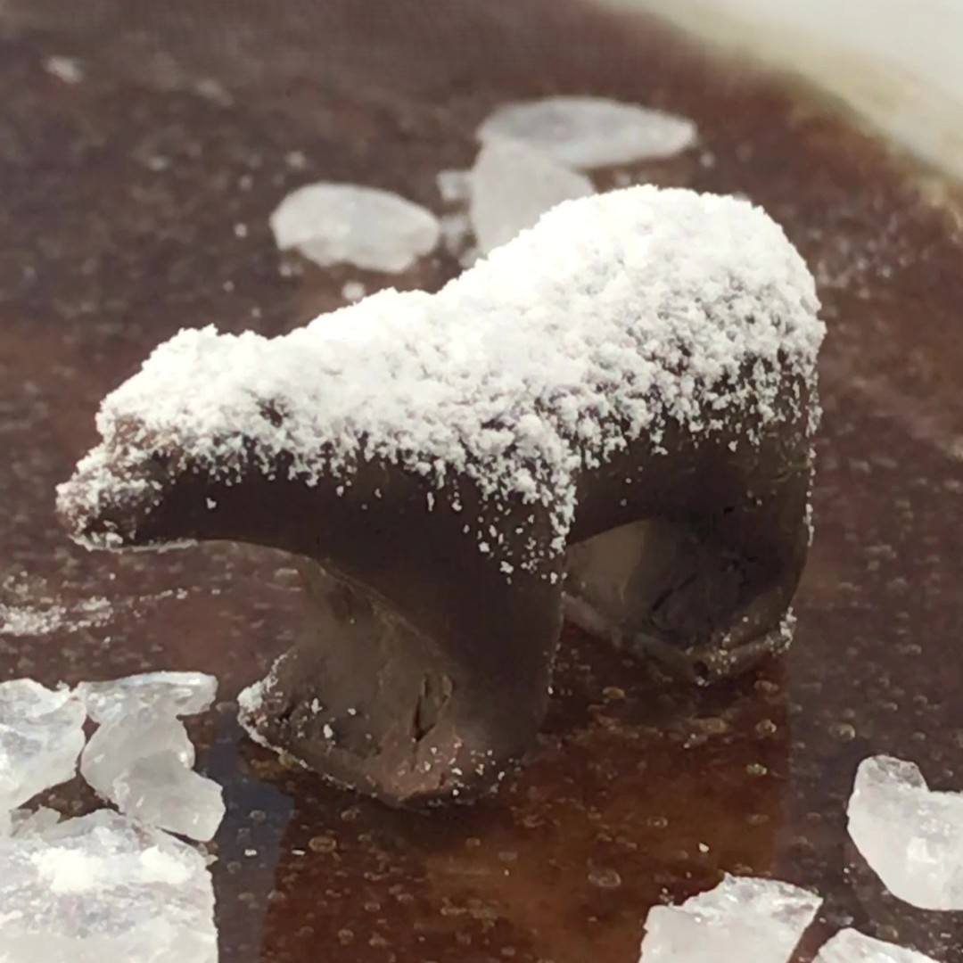 菓子生物研究ファイル２