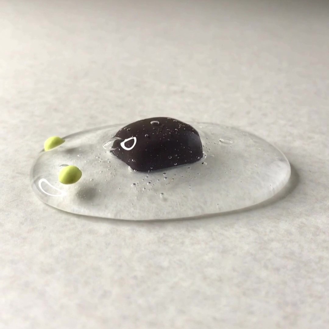 菓子生物研究ファイル4