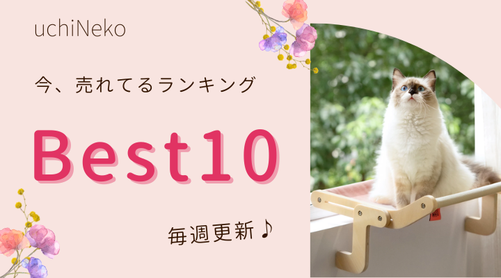 今週の「今、売れてるランキング　BEST10」