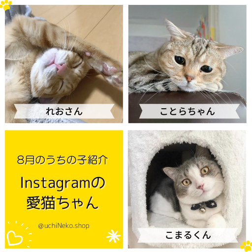 8月のうちの子紹介♡Instagramの愛猫ちゃん