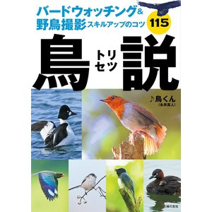 TORINKOが、鳥くん（永井真人）のバードウォッチング＆野鳥撮影スキルアップのコツに掲載されました