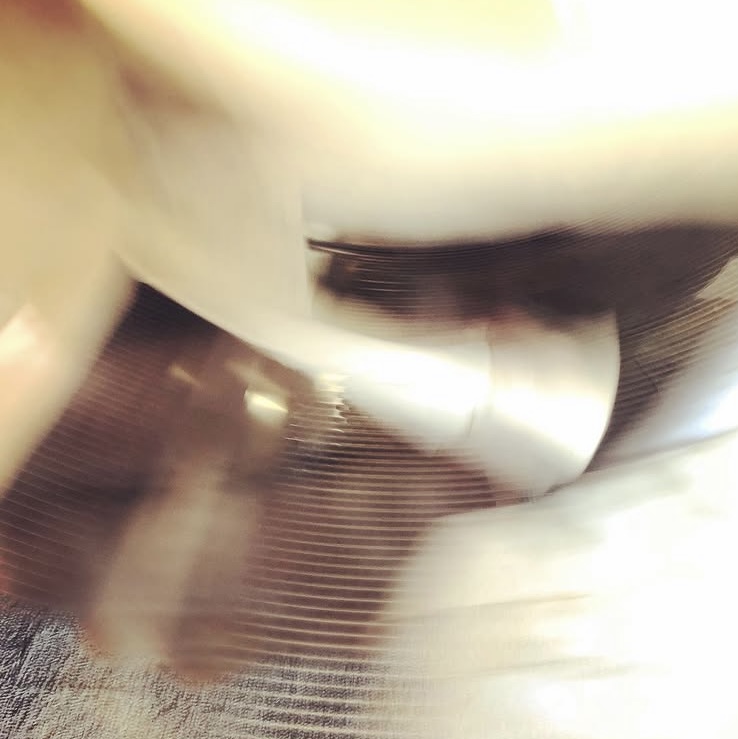 This Is Not a Song, It's an Outburst