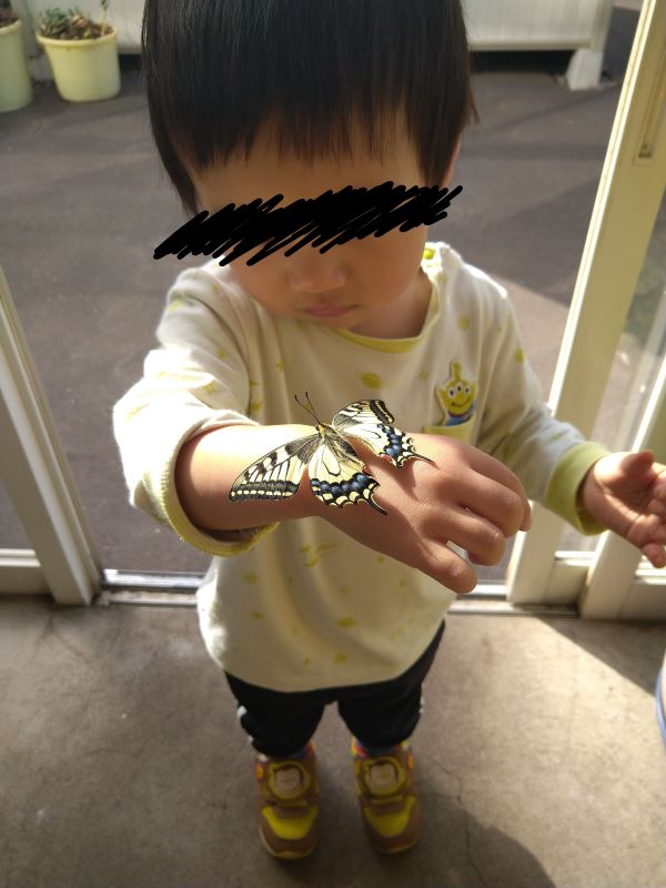 冷凍しても美味しさキープ！